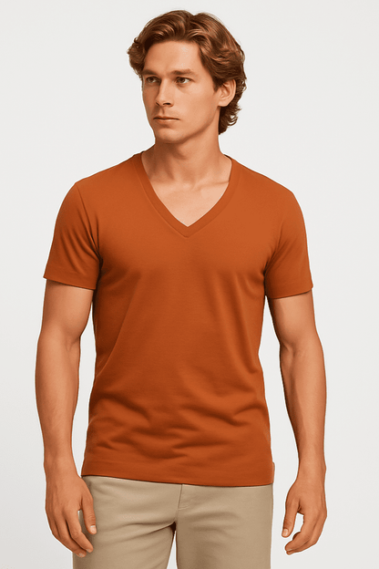 T-shirt męski Alpha V – brązowy głęboki dekolt V, premium bawełna W5510 - DANNY